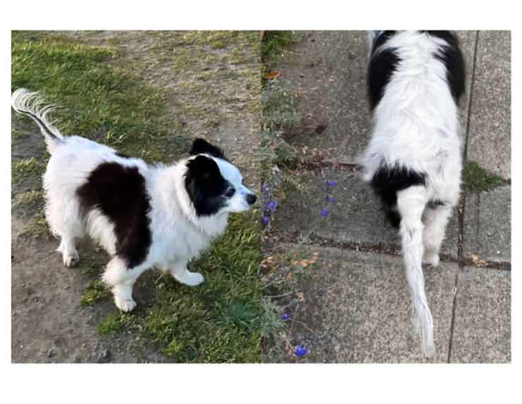 Awesome Photos That Might Just Grab Your Attention