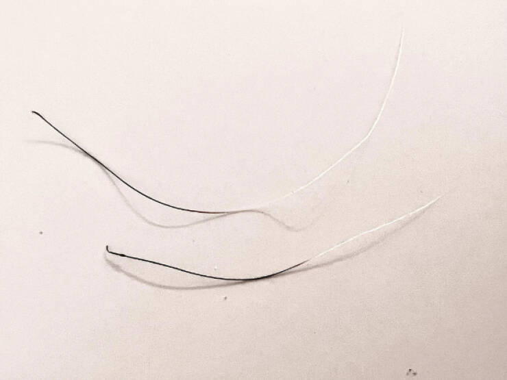 Awesome Photos That Might Just Grab Your Attention