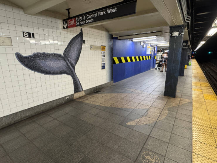 Awesome Photos That Might Just Grab Your Attention