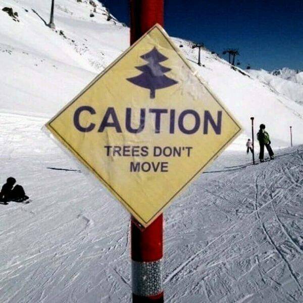 Memes That Absolutely Nailed It