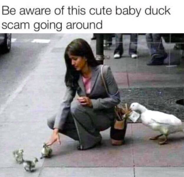 Memes That Absolutely Nailed It