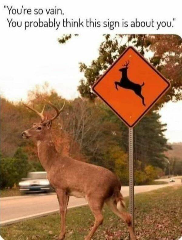 Memes That Absolutely Nailed It