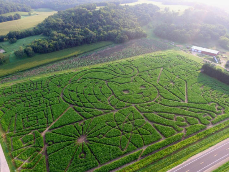 Photos That Prove Cats Rule the Internet