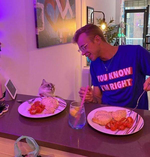 Photos That Prove Cats Rule the Internet Photos That Prove Cats Rule the Internet