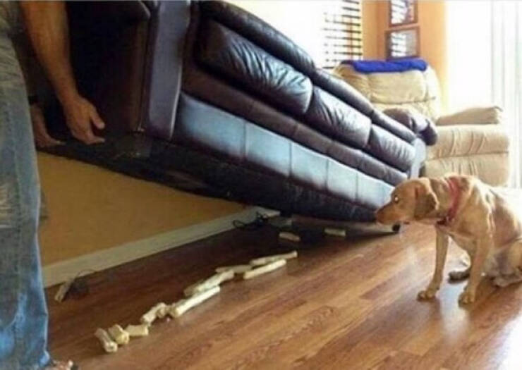 These Photos Raise More Questions Than Answers These Photos Raise More Questions Than Answers