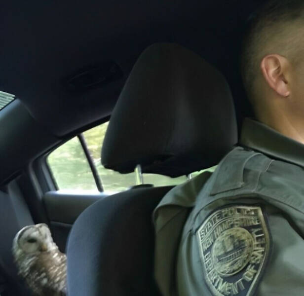 These Photos Raise More Questions Than Answers These Photos Raise More Questions Than Answers