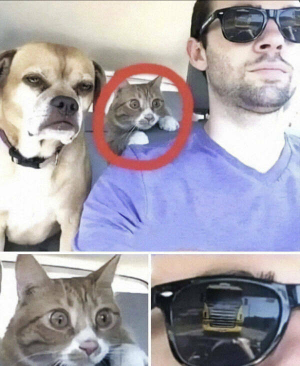 These Photos Raise More Questions Than Answers These Photos Raise More Questions Than Answers