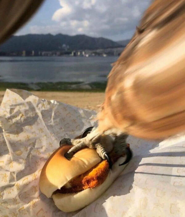 These Photos Raise More Questions Than Answers These Photos Raise More Questions Than Answers