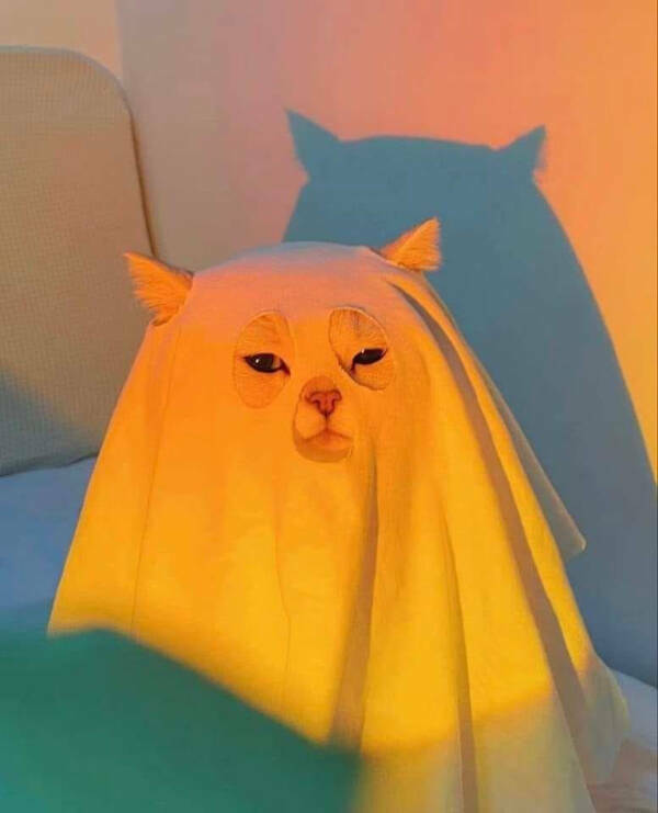 These Photos Raise More Questions Than Answers These Photos Raise More Questions Than Answers