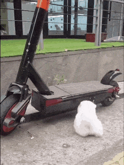 Daily Gifdump Daily Gifdump