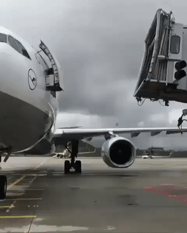 Daily Gifdump Daily Gifdump