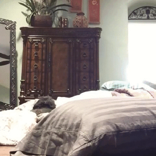 Daily Gifdump Daily Gifdump