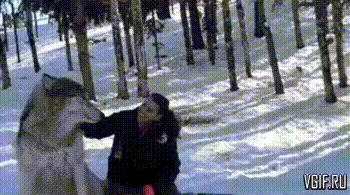 Daily Gifdump Daily Gifdump