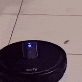 Daily Gifdump Daily Gifdump