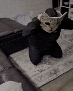 Daily Gifdump Daily Gifdump