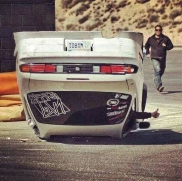 Daily Picdump