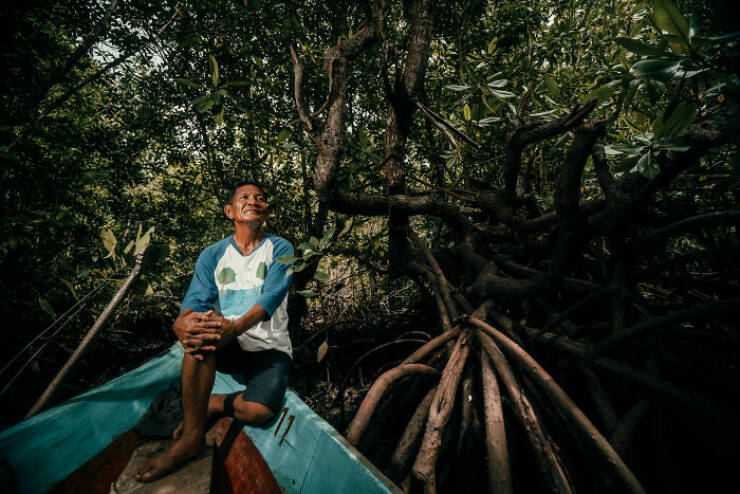 Spectacular Images Of The 2025 Mangrove Photography Awards
