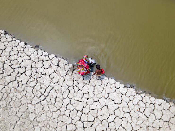 Spectacular Images Of The 2025 Mangrove Photography Awards