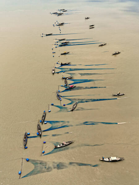 Spectacular Images Of The 2025 Mangrove Photography Awards