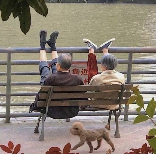 Weird Images That Are Somehow Too Funny