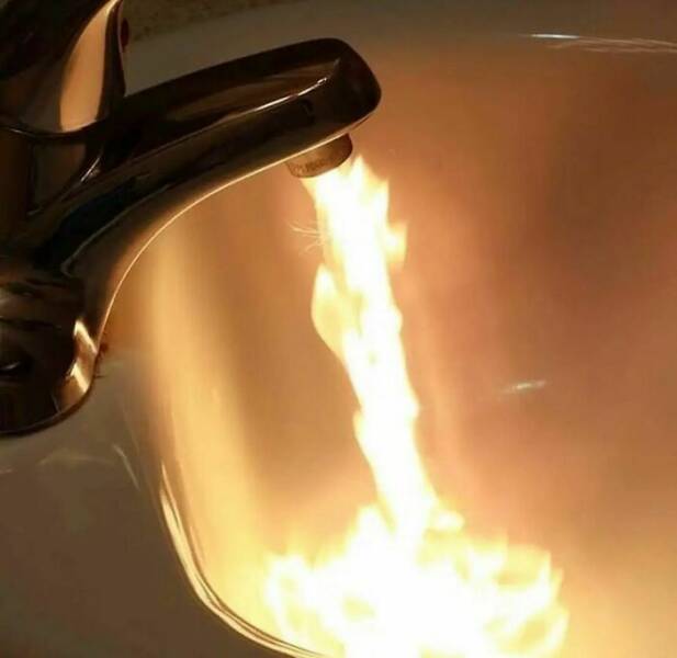 Weird Images That Are Somehow Too Funny