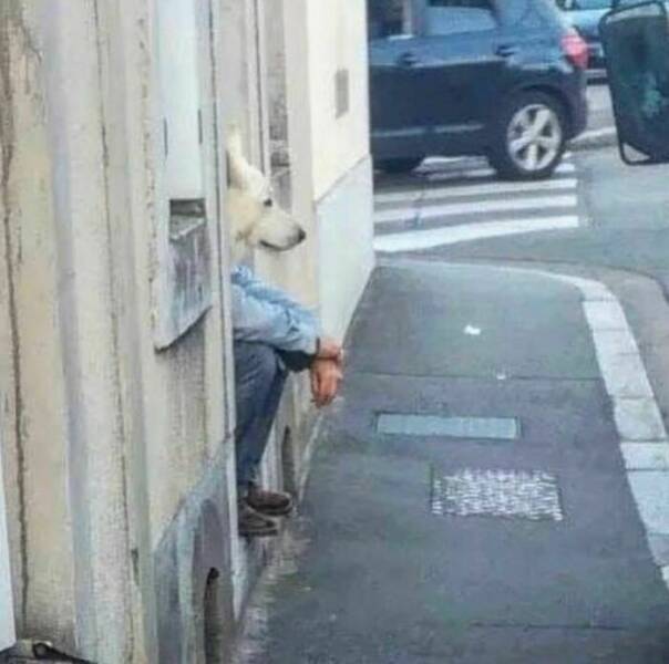 Weird Images That Are Somehow Too Funny