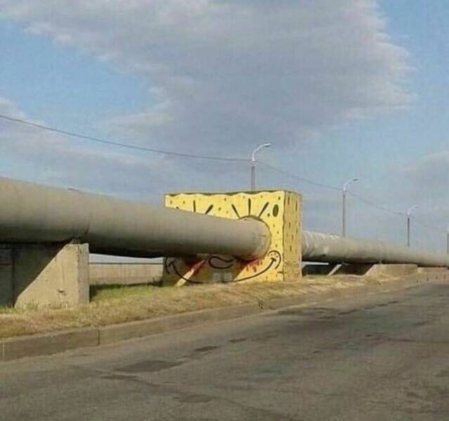 Weird Images That Are Somehow Too Funny