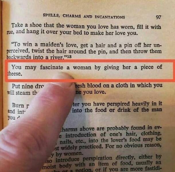 Weird Images That Are Somehow Too Funny