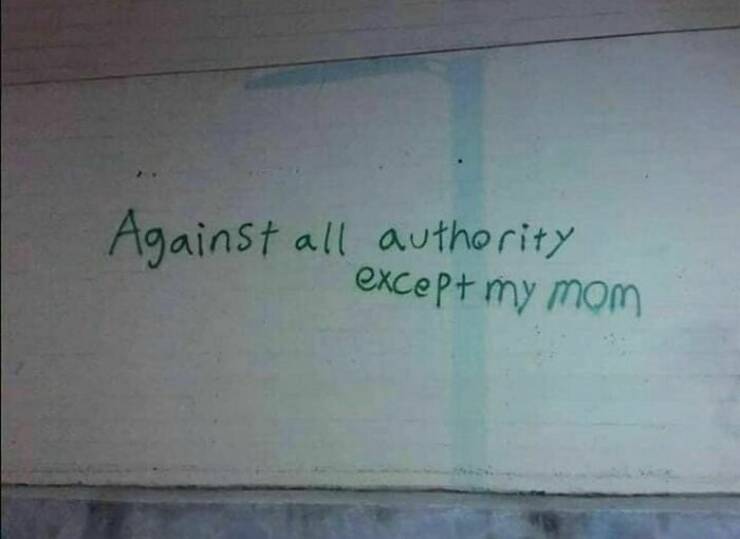 Weird Images That Are Somehow Too Funny