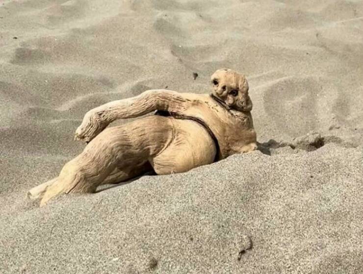 When Nature Decided to Go Off the Rails