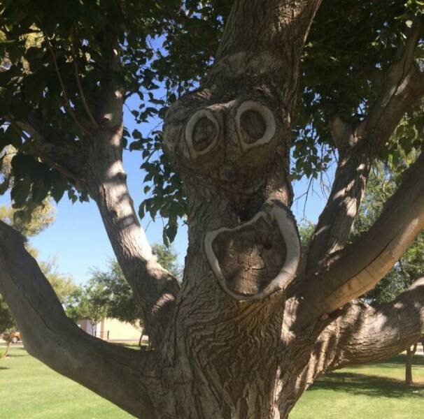 When Nature Decided to Go Off the Rails