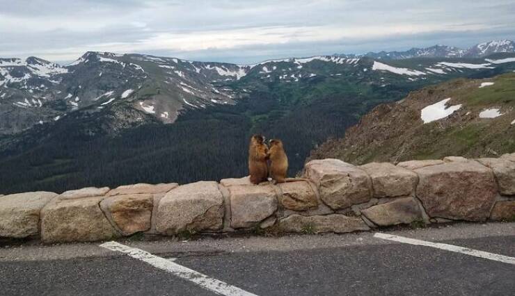 When Nature Decided to Go Off the Rails