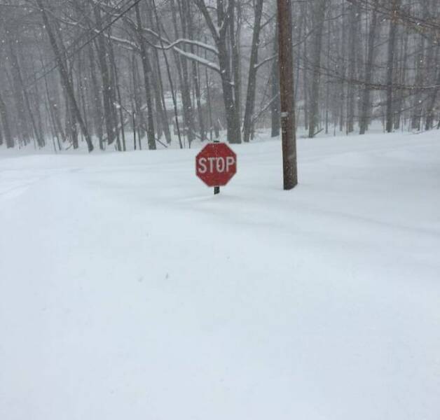 When Nature Decided to Go Off the Rails