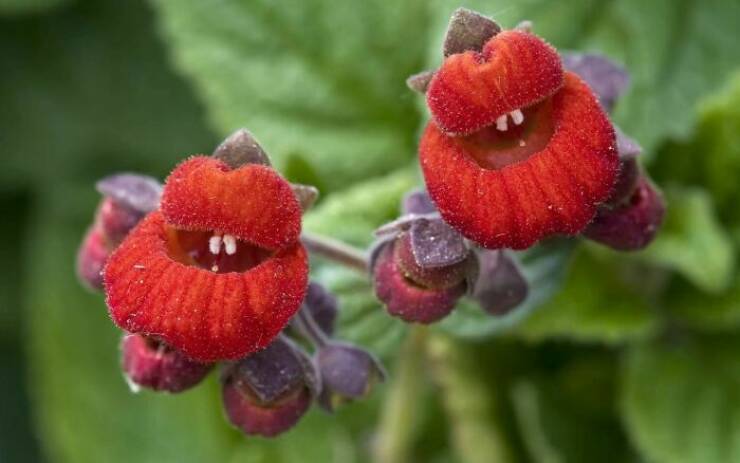 When Nature Decided to Go Off the Rails