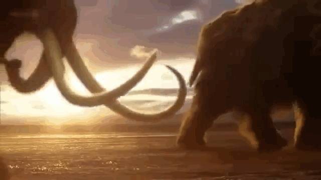 Stuff Your Brain With These Fun Little Facts