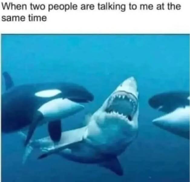 Paw-sitive Laughs Guaranteed