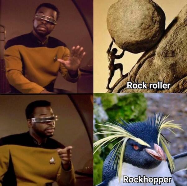 Paw-sitive Laughs Guaranteed