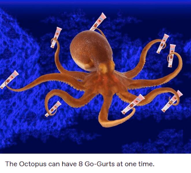 Paw-sitive Laughs Guaranteed