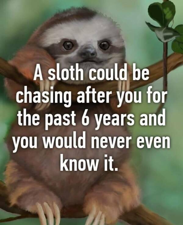 Paw-sitive Laughs Guaranteed