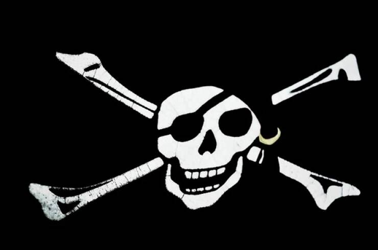 Pirate Facts Incoming!