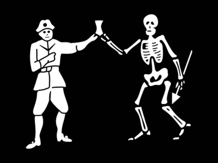 Pirate Facts Incoming!