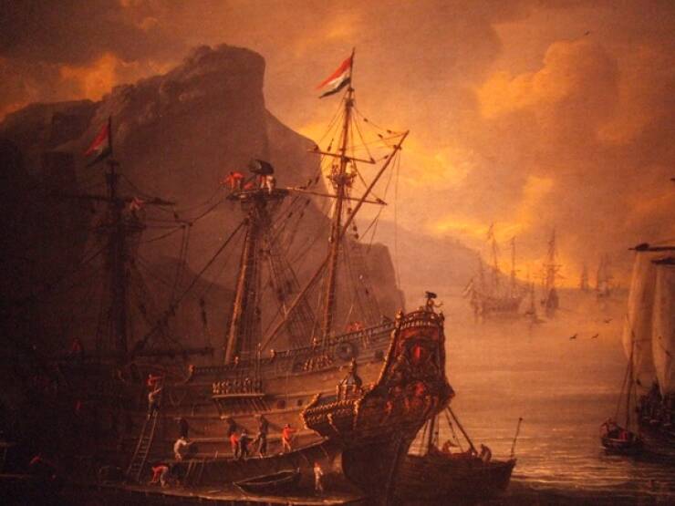 Pirate Facts Incoming!