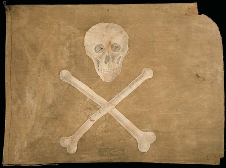 Pirate Facts Incoming!