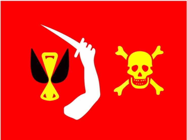 Pirate Facts Incoming!
