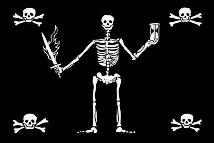 Pirate Facts Incoming!