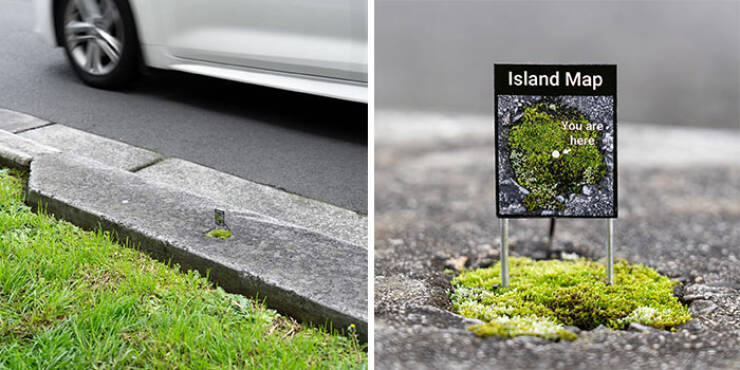 Street Art, Shrunken and Hilarious