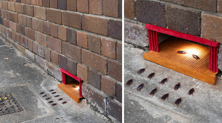 Street Art, Shrunken and Hilarious