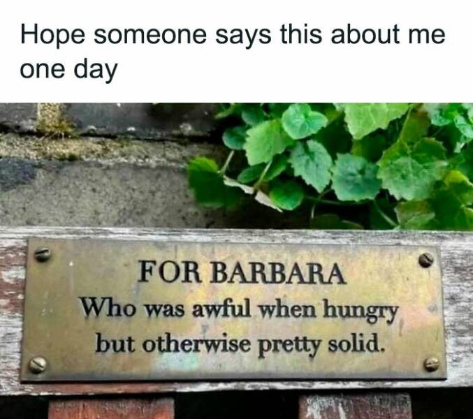 The Funniest Posts on the Internet