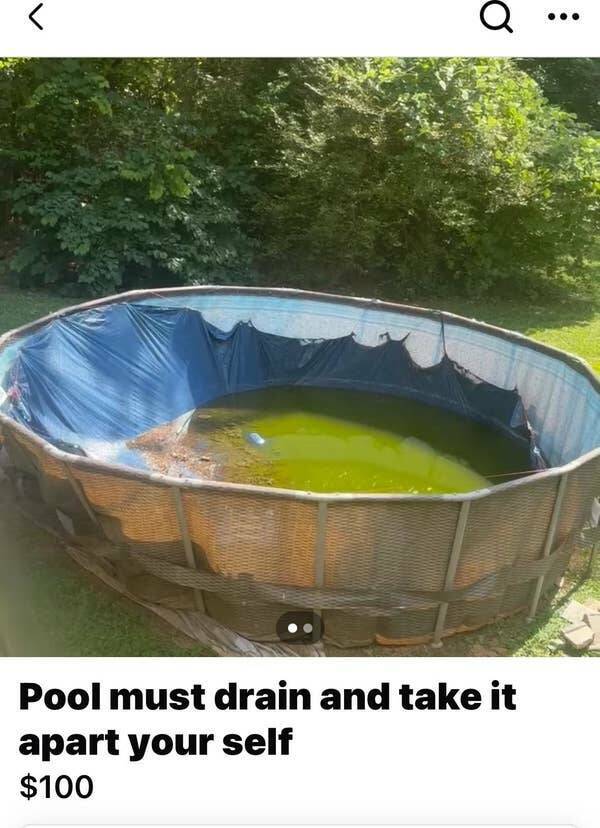 The Most Bizarre Items Ever Listed Online