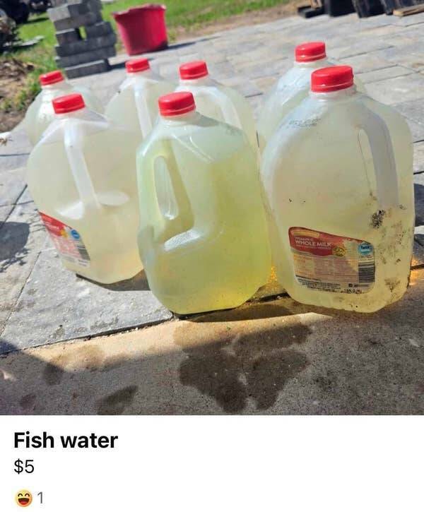 The Most Bizarre Items Ever Listed Online